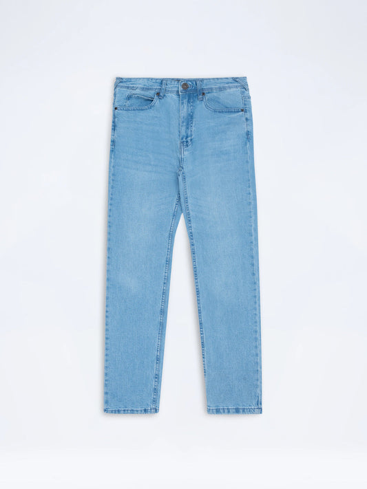 Men's Regular Fit ( ICE BLUE ) Jean